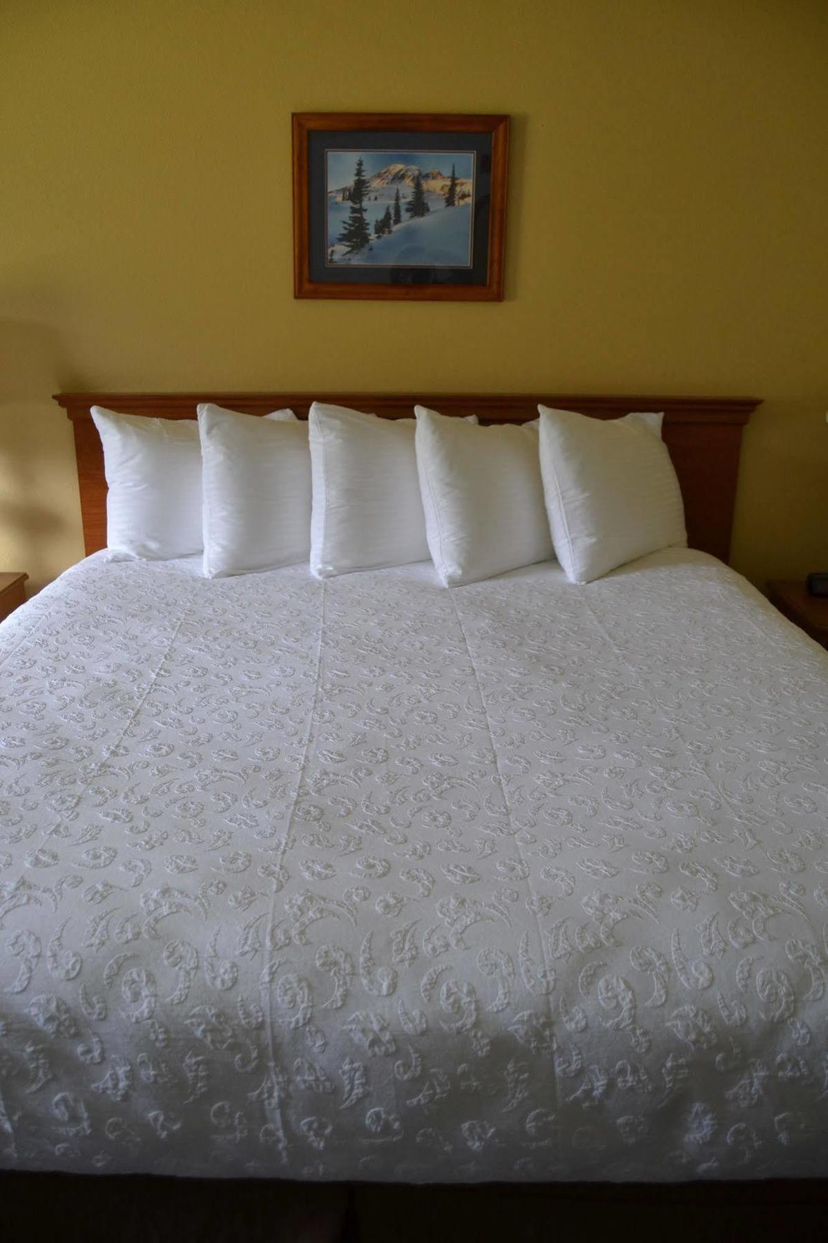 Cowlitz River Lodge Packwood Ngoại thất bức ảnh