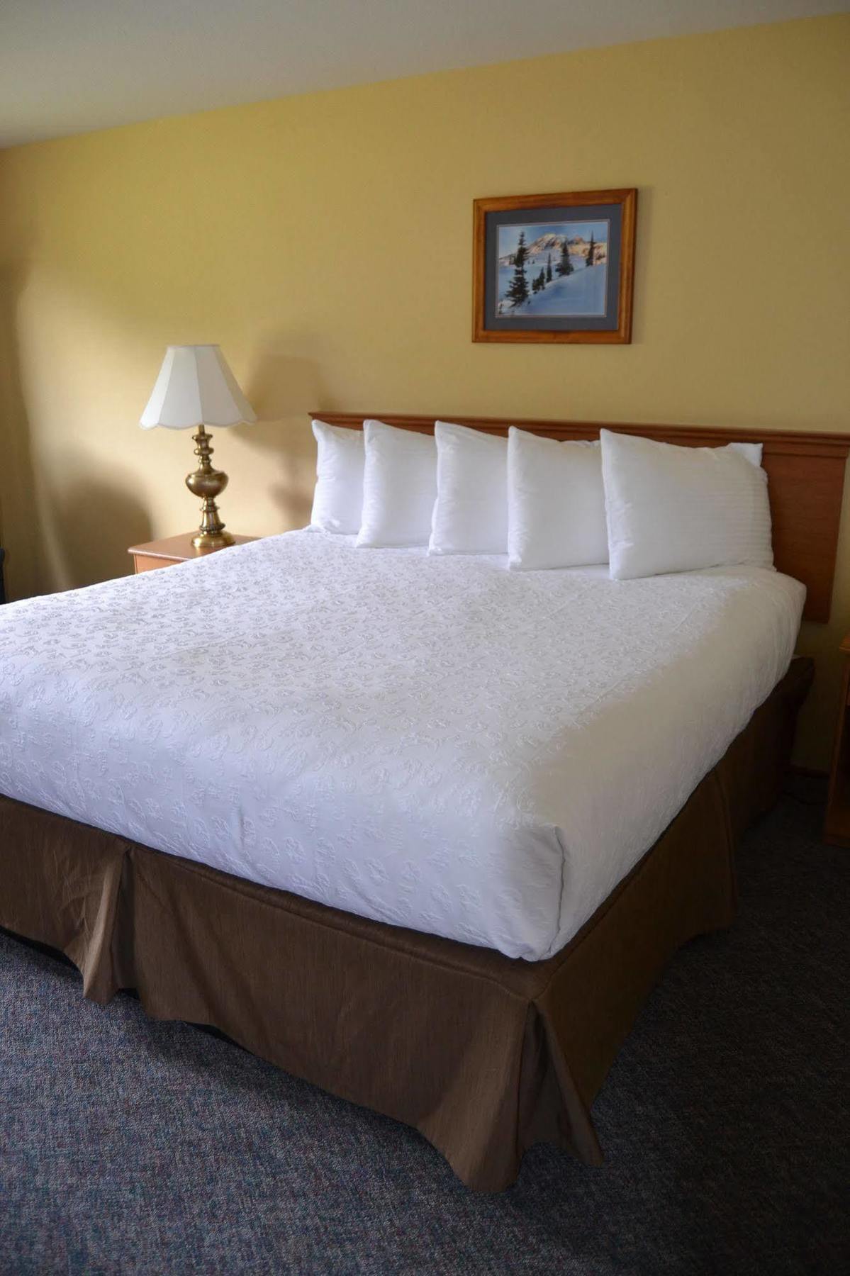 Cowlitz River Lodge Packwood Ngoại thất bức ảnh