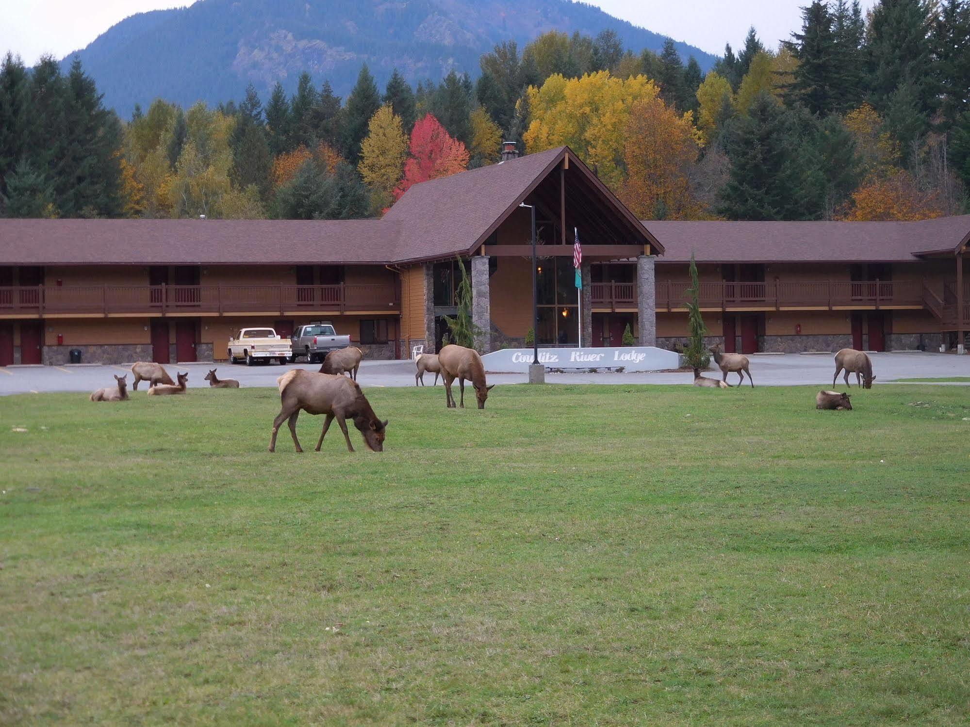 Cowlitz River Lodge Packwood Ngoại thất bức ảnh