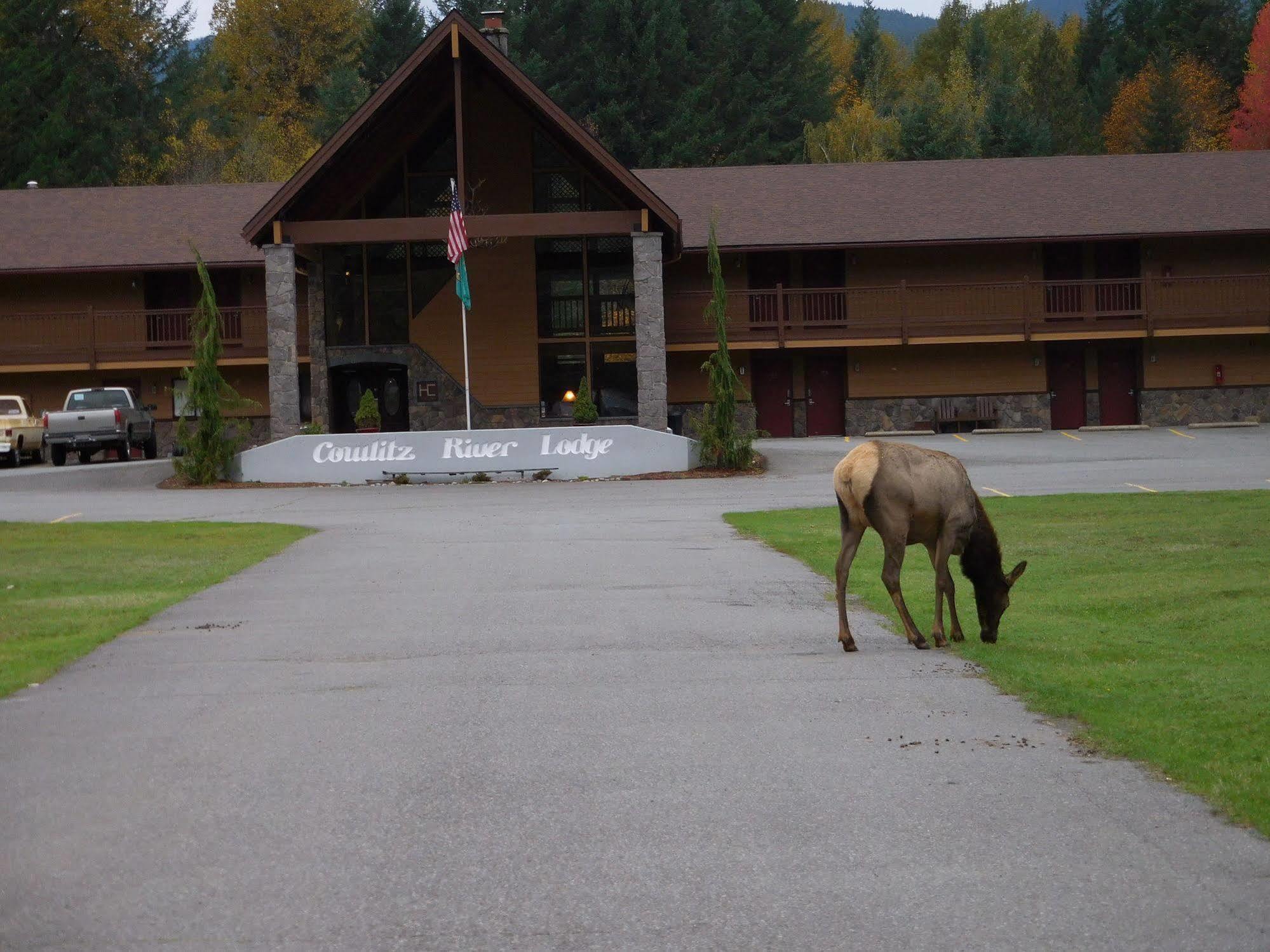Cowlitz River Lodge Packwood Ngoại thất bức ảnh