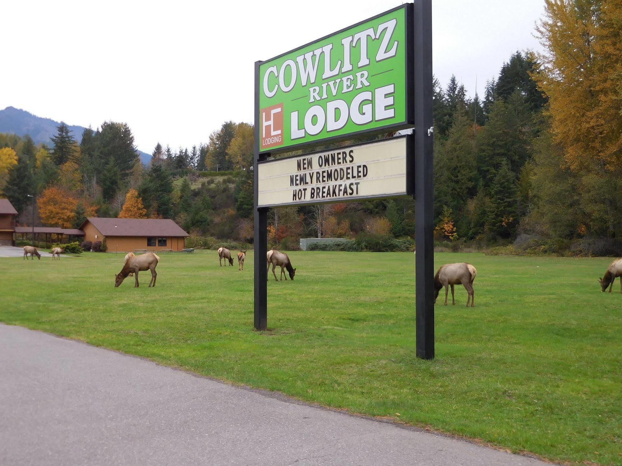 Cowlitz River Lodge Packwood Ngoại thất bức ảnh